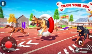 Đua Chó Tại V7Bet