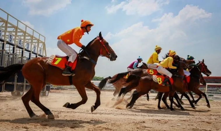 đua ngựa V7Bet